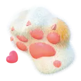1 Pata De Gato