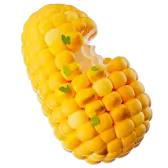 1 Es Maíz