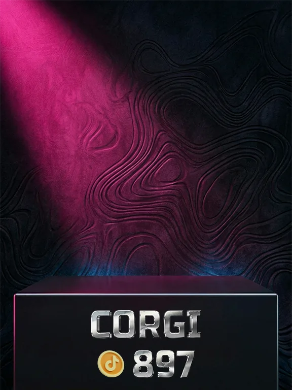 CORGI