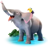 Elefante