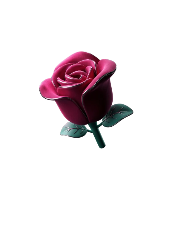 regalo rosa de tiktok